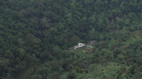 Explore Sinharaja Rain Forest Tour Camp